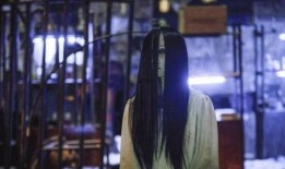 贞子大战笔仙在线观看,惊悚之夜在线揭秘